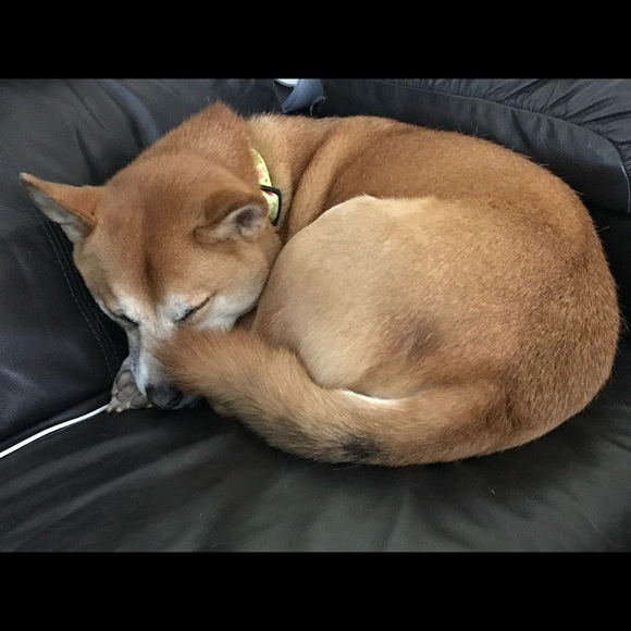 Meet your Posher, Trish - Picture 2 of 2